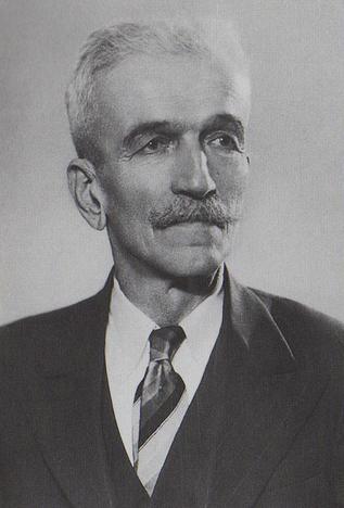 Владислав Скарић историцар